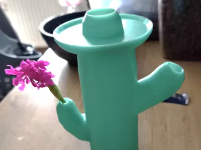 Cactus flower vase