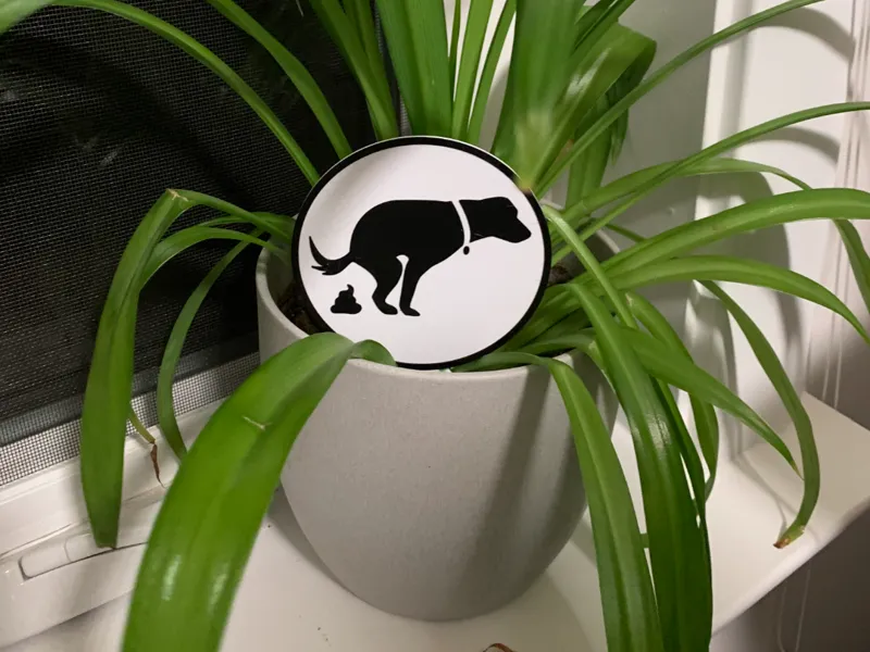 Dog Pooping Plant Stake
