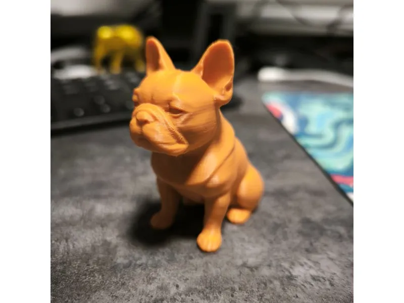 Bulldog francese