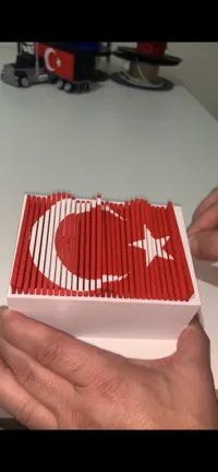 0.2mm layer, 3 walls, 10% infill