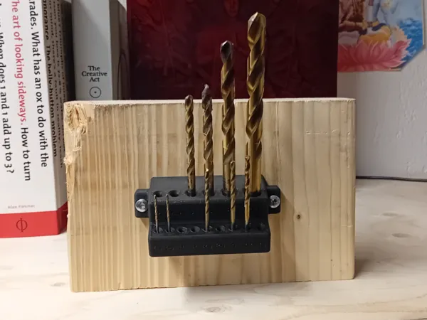https://makerworld.bblmw.com/makerworld/model/US8e709c1b436691/design/2024-06-23_90e8c2d753d84.jpg