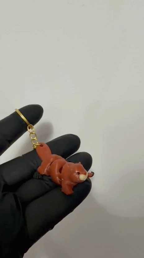https://makerworld.bblmw.com/makerworld/model/US8e711d485cdb8/design/b9397a5ead0d735c.gif