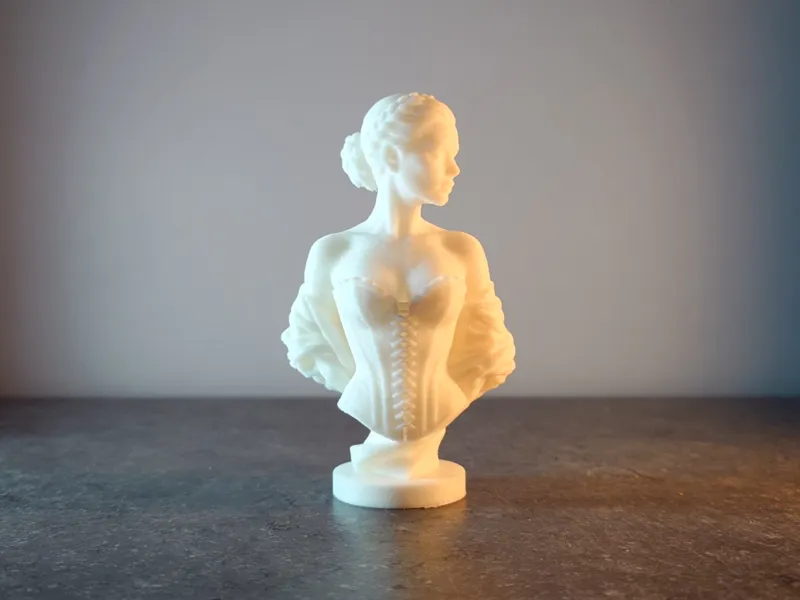 Buste de Femme en Corset