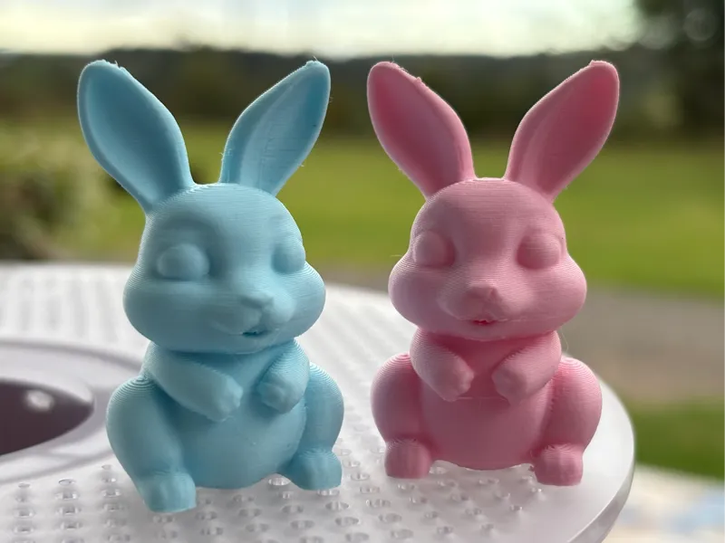 Cute Easter Bunny