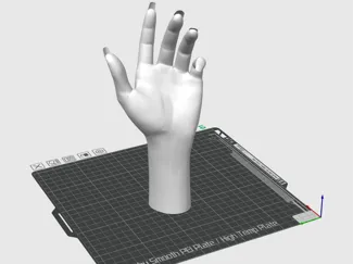 hand with long fingernail gesture 1 手掌模型1
