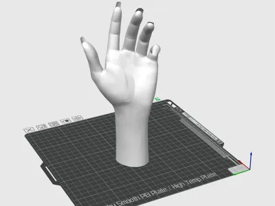 hand with long fingernail gesture 1 手掌模型1