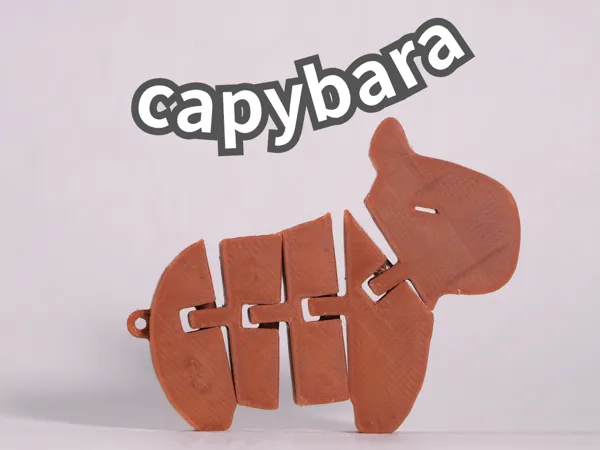 https://makerworld.bblmw.com/makerworld/model/US8e81e08d8015a7/design/2025-06-10_1ed9a4aef3f6b.png