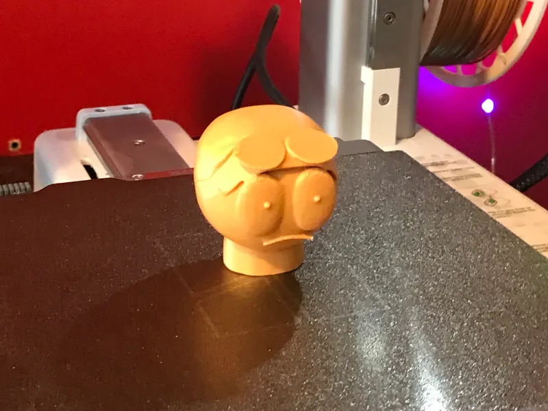 DISCOPG head!