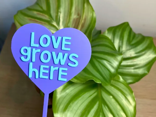 https://makerworld.bblmw.com/makerworld/model/US8e86fa1b0d0b69/design/2025-09-03_3cd037f340495.png