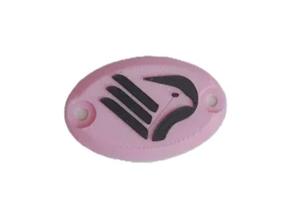 Logo Palermo per didiesse frog