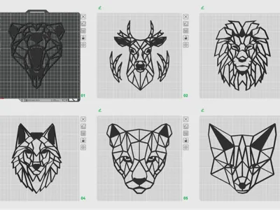Animal Faces