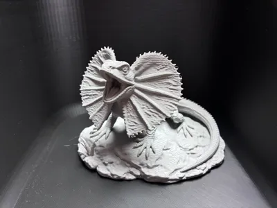 Frilled Lizard