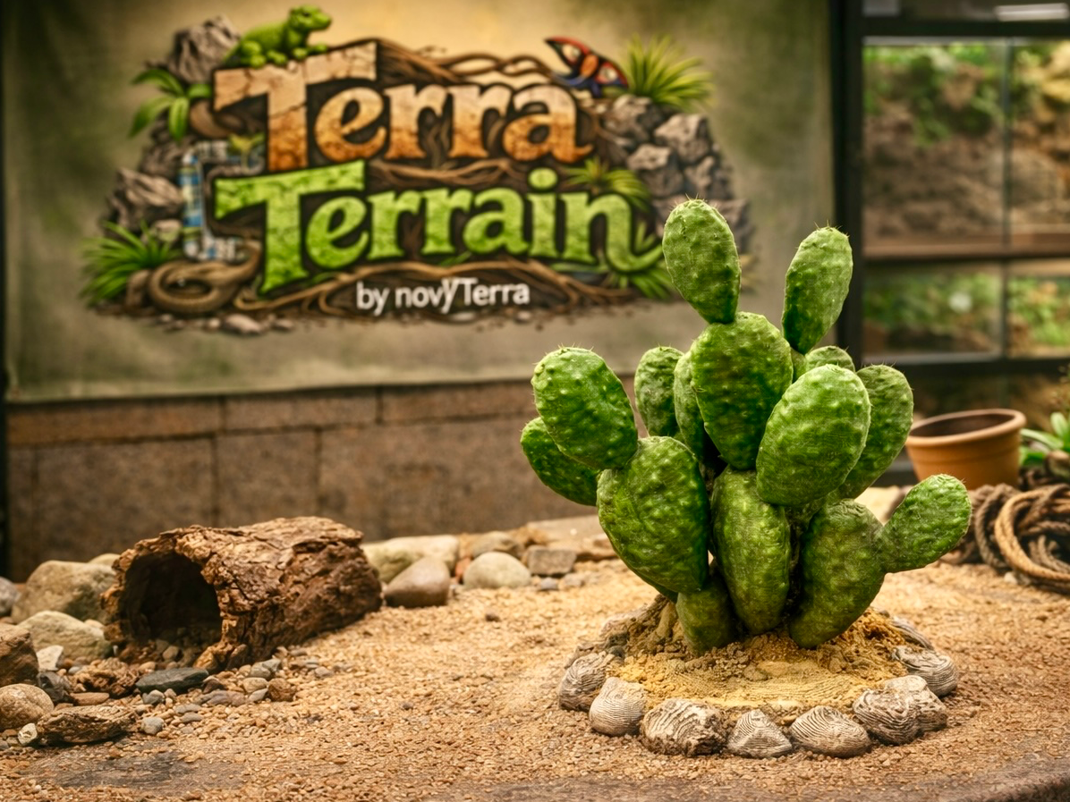Terra Terrain – Sabra Kaktus
