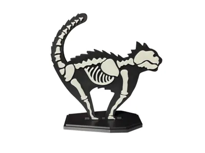 Skeleton Cat on Coffin Base