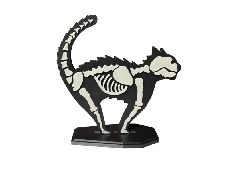 Skeleton Cat on Coffin Base