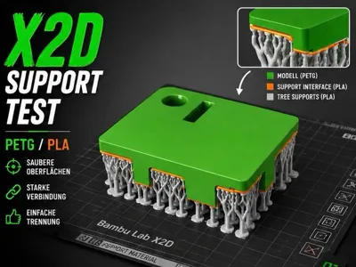 X2D Support Test –Multi-Material Support  PETG-PLA