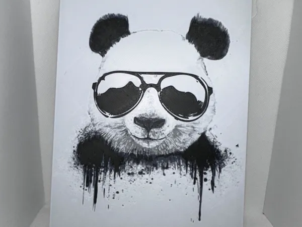 https://makerworld.bblmw.com/makerworld/model/US8e98adc4ba405b/design/2025-02-22_f858021e9e6b2.jpg