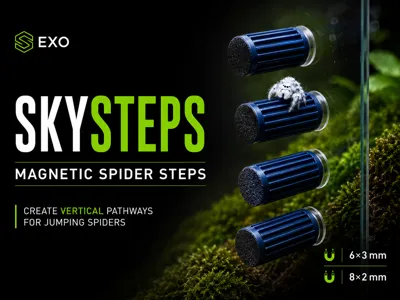 Exo SkySteps – Magnetic Steps for Jumping Spiders