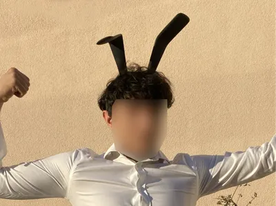 Bunny Girl Ears