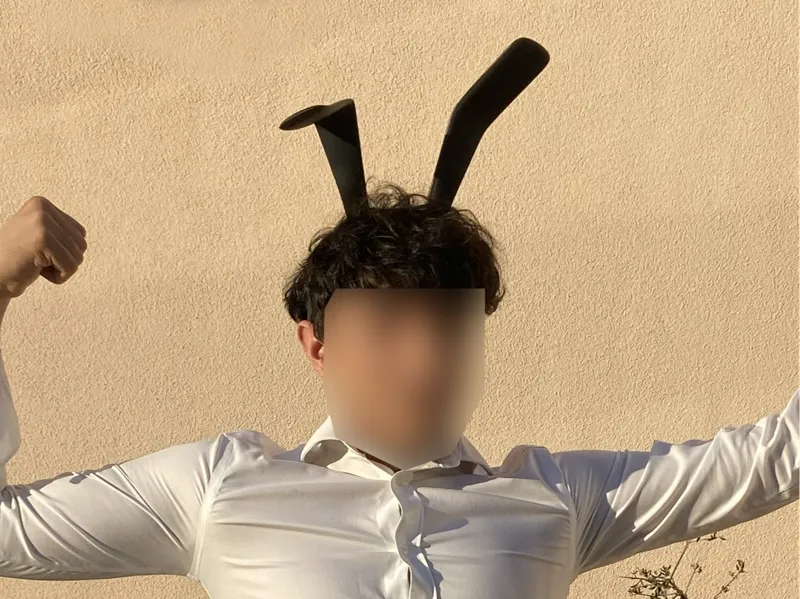 Bunny Girl Ears