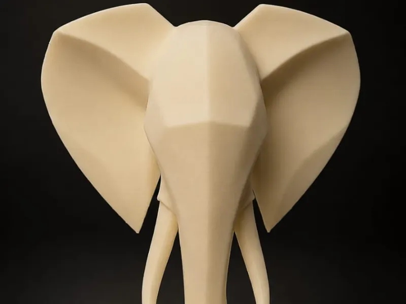 Cabeça de Elefante Abstrata