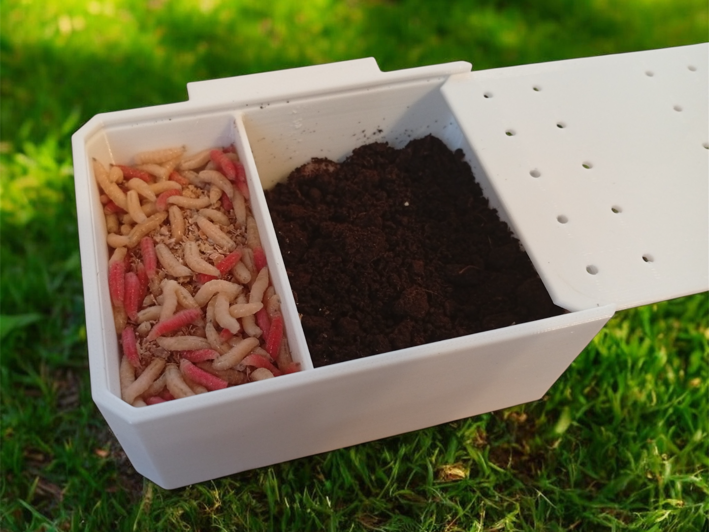 Fishing Bait Container for Maggot Hands-Free Box