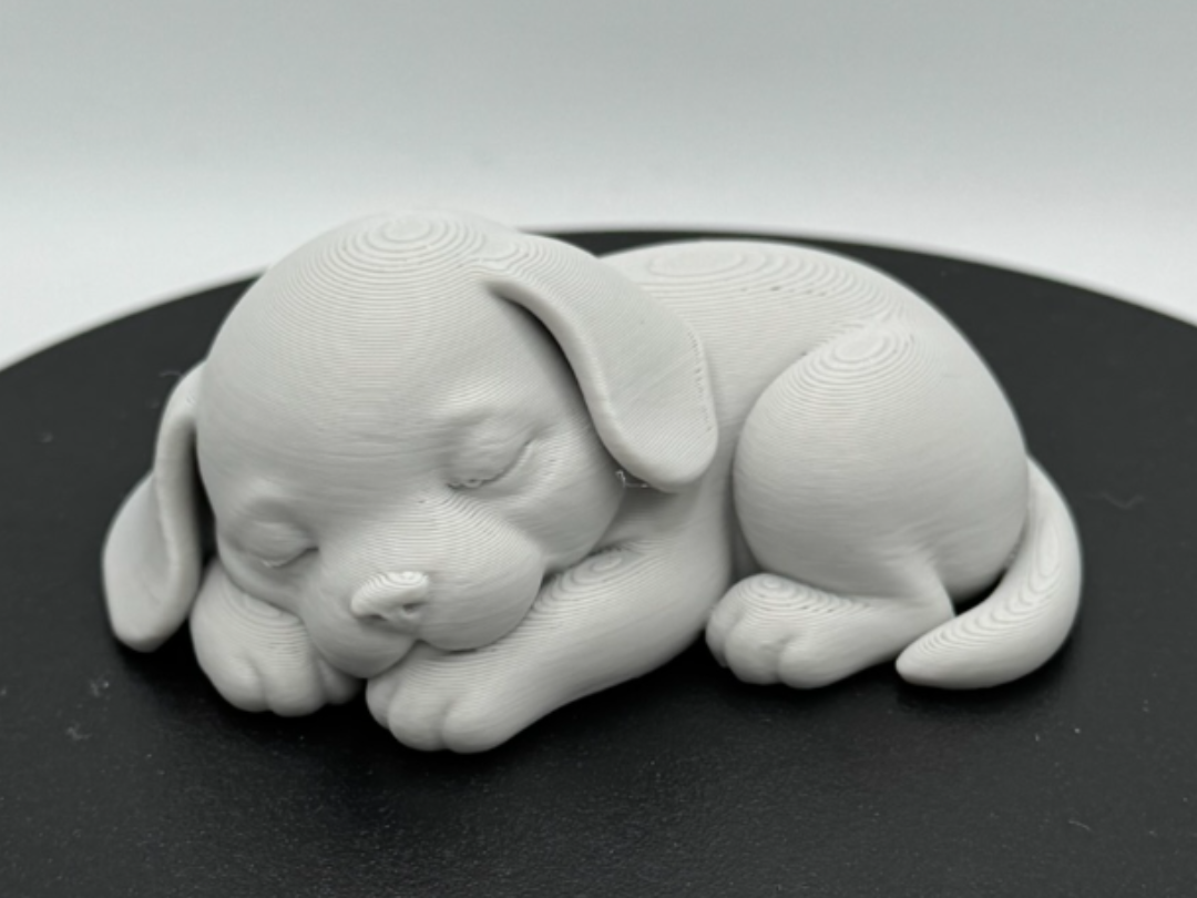 Sleeping Puppy – Cozy Curled Pose