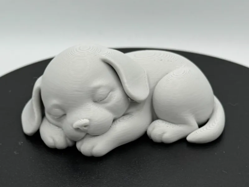 Sleeping Puppy – Cozy Curled Pose
