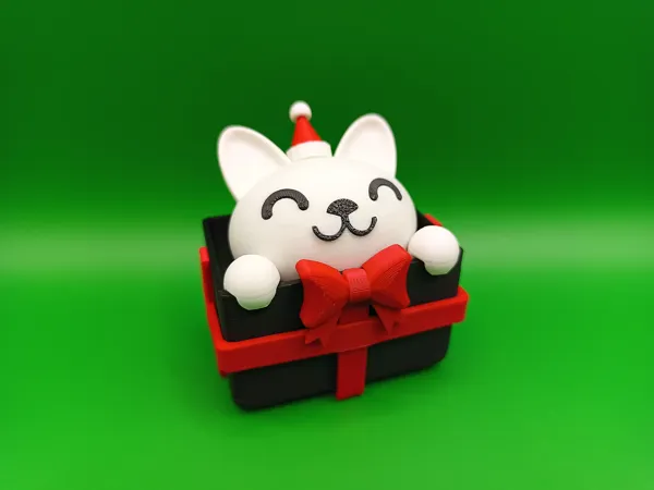 https://makerworld.bblmw.com/makerworld/model/US8eb2b4ab99596/design/2024-11-26_a767102304983.jpg
