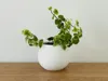 Outer pot, 120mm