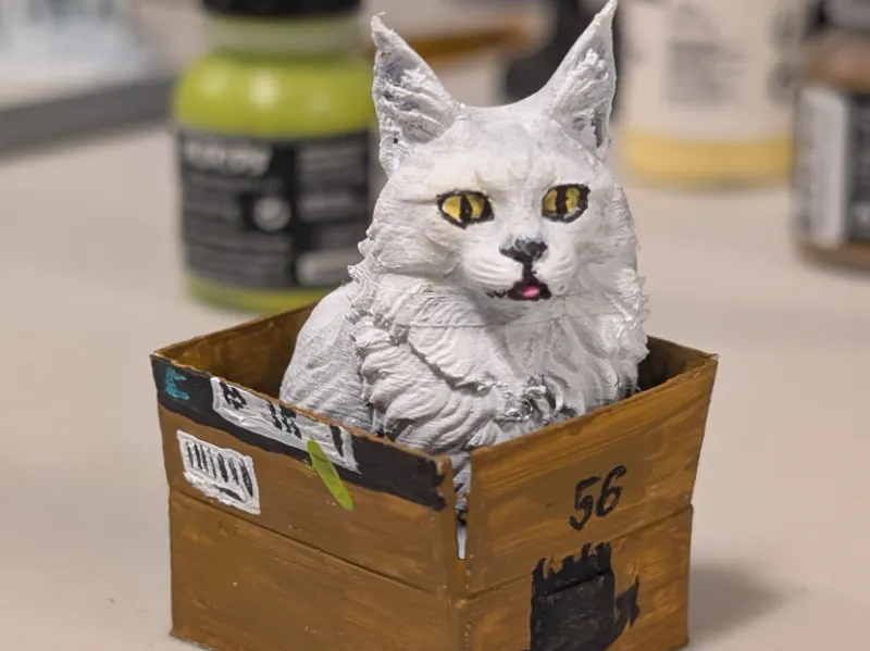 Cat in a Box - Miniature - Maine Coon