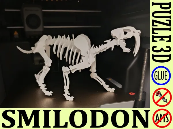 https://makerworld.bblmw.com/makerworld/model/US8ebcaf8cf4a213/design/529f61f701a727ac.jpg