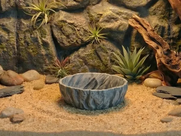 https://makerworld.bblmw.com/makerworld/model/US8ebceae0487c1c/design/80b28a5100cd7227.png