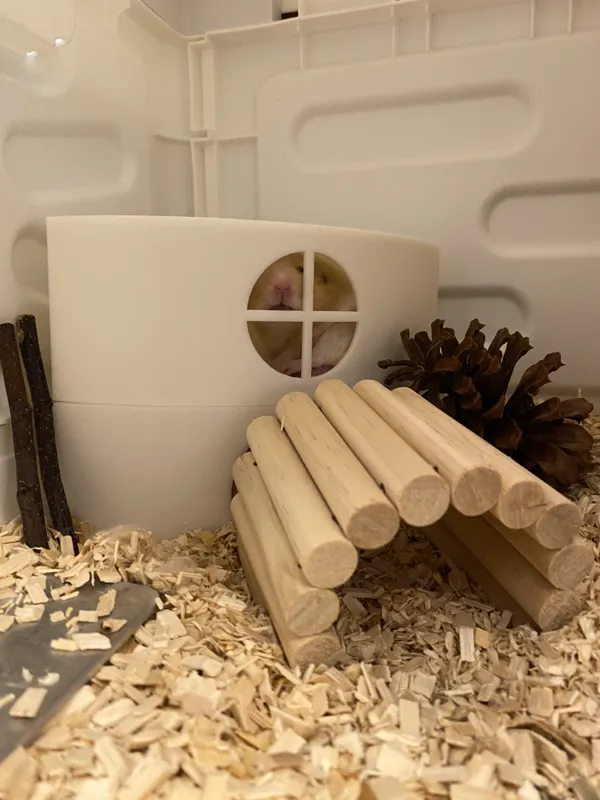 https://makerworld.bblmw.com/makerworld/model/US8ec60acd986bd/design/2023-10-15_2ea70c5c1ae68.jpg