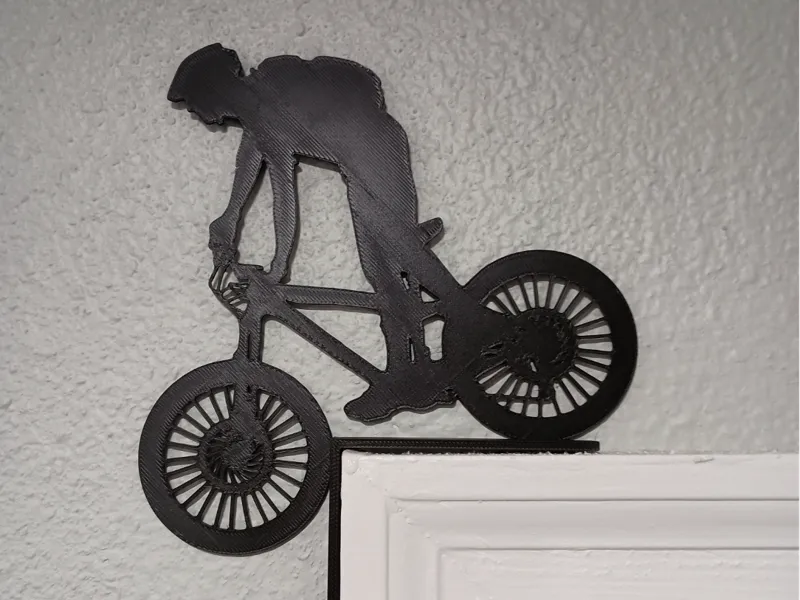 Mountain Bike Door Rider