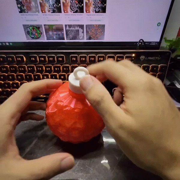 https://makerworld.bblmw.com/makerworld/model/US8ed0608e4c896c/design/2023-11-17_2b6gadufnthd.gif