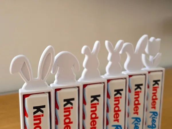 https://makerworld.bblmw.com/makerworld/model/US8ed0e6fb6733e4/design/215613ef21ec2111.jpg