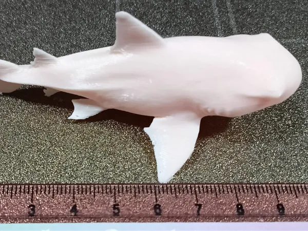 https://makerworld.bblmw.com/makerworld/model/US8ed10f2c89b844/design/2025-12-21_aab3f1c4f5586.jpeg