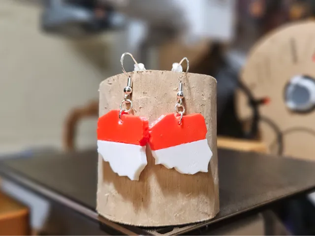 Polish Flag Earrings