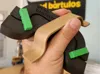 0.2mm layer, 4 walls, 25% infill