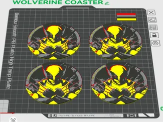WOLVERINE COASTER