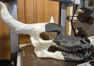 Demon dog skull mask