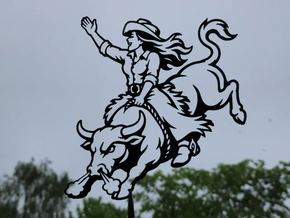 Cowgirl Bull Rider 2D Wall Art - Free 3D Print Model - MakerWorld