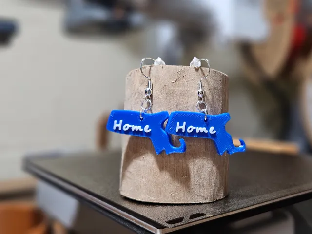 Massachusetts Home Earrings