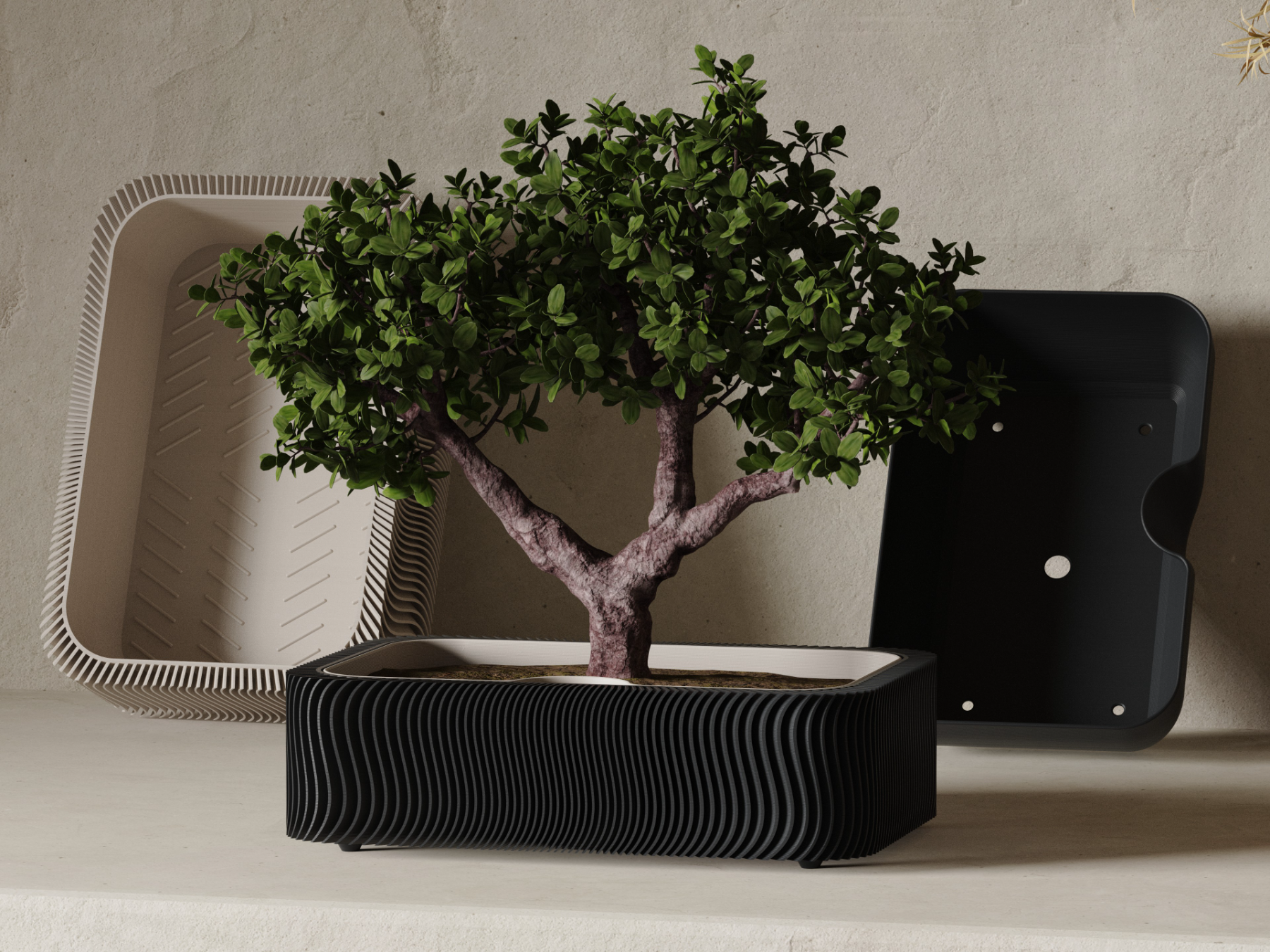 Suiban — Japandi Bonsai & Succulent Planter & Tray