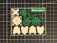 AMS (Single Card) - 0.08mm layer, 2 walls, 15% infill