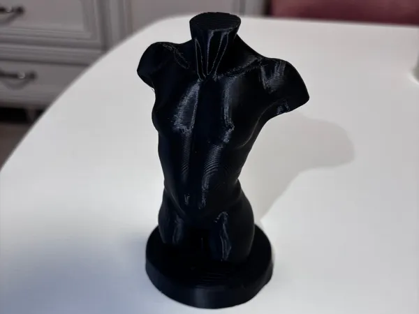 https://makerworld.bblmw.com/makerworld/model/US8ee8c23a049918/design/2025-03-16_047d5e08742d7.jpg