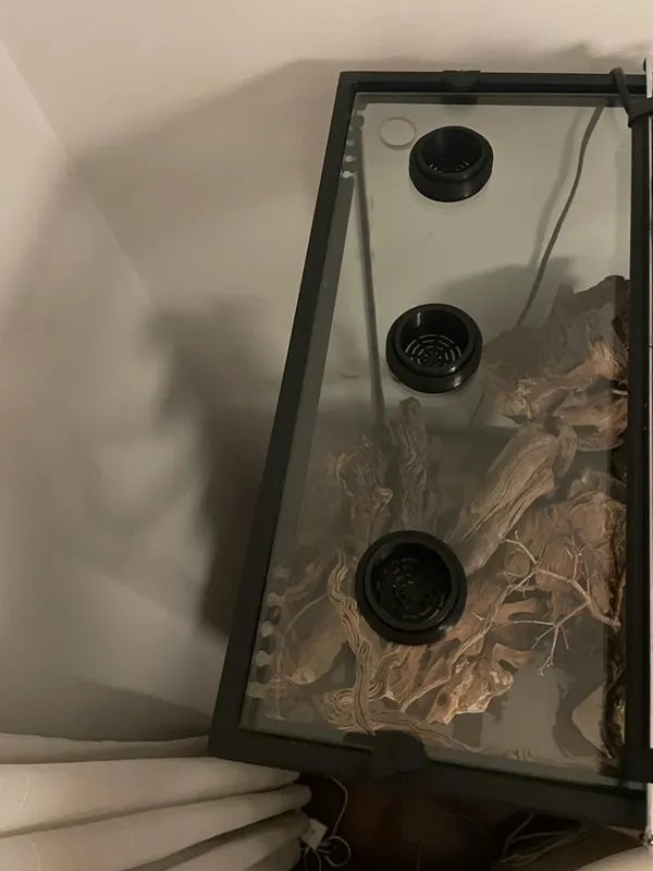 https://makerworld.bblmw.com/makerworld/model/US8ee9034ff8aace/design/2024-01-29_bf53cc5ffefc5.jpeg