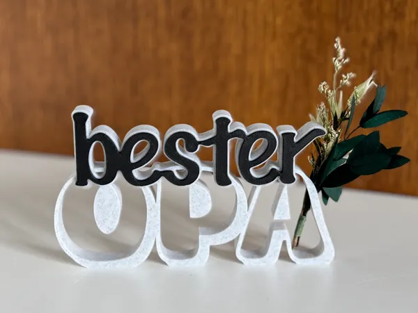 https://makerworld.bblmw.com/makerworld/model/US8eeb9b361229f/design/2025-03-31_e477a5fb9d61a.jpg