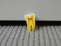 0.16mm layer, 2 walls, 15% infill